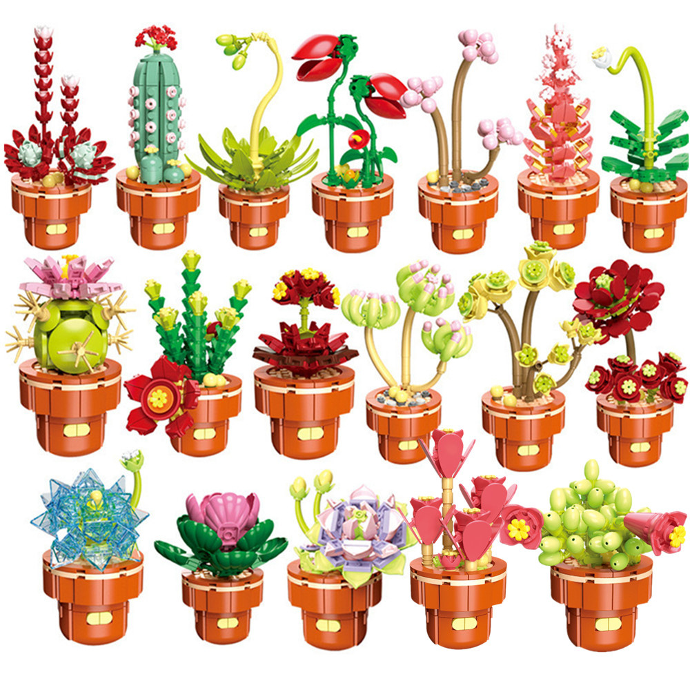 2024 City Creativity Succulent - огляд і ціна Lego Set Creator