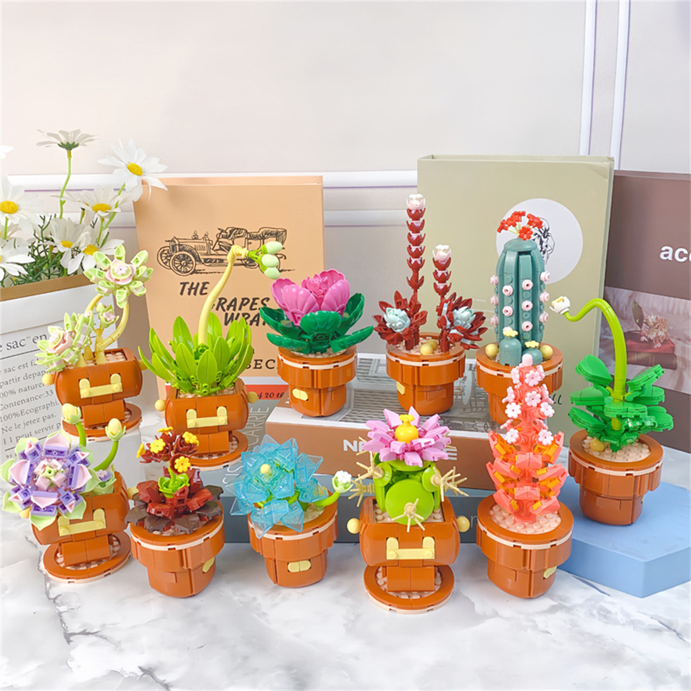 2024 City Creativity Succulent - огляд і ціна Lego Set Creator